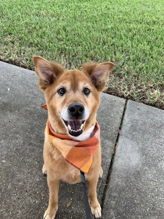 Happy Paws Veterinary Center Picture 4