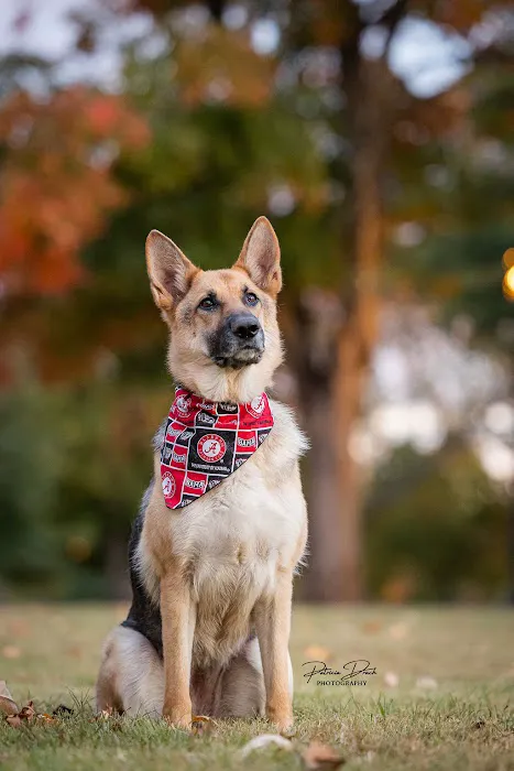 Happy Paws Veterinary Center Picture 3