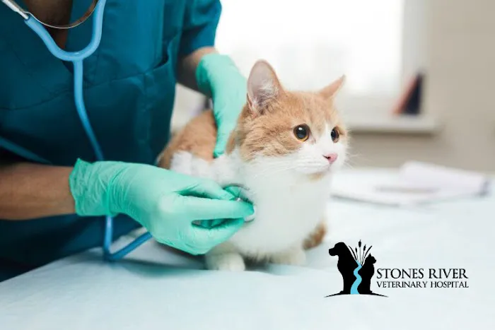 Stones River Veterinary Hospital Picture 1