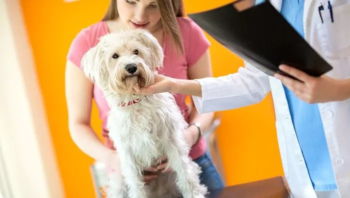 Stones River Veterinary Hospital Picture 2