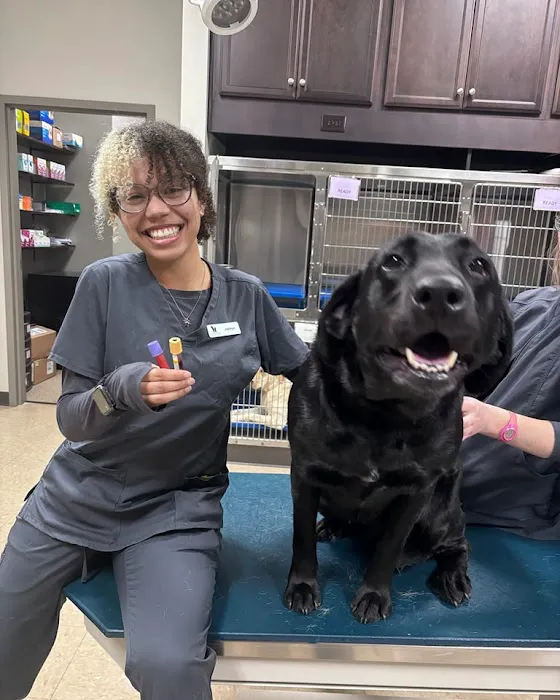 Stones River Veterinary Hospital Picture 6