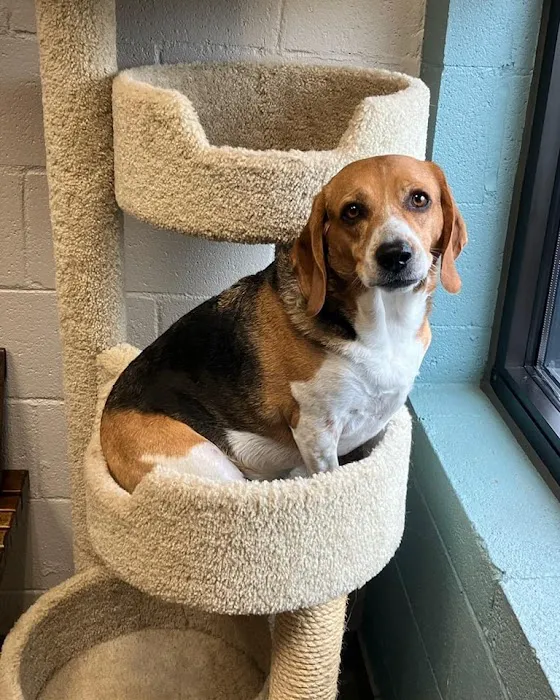 Stones River Veterinary Hospital Picture 9
