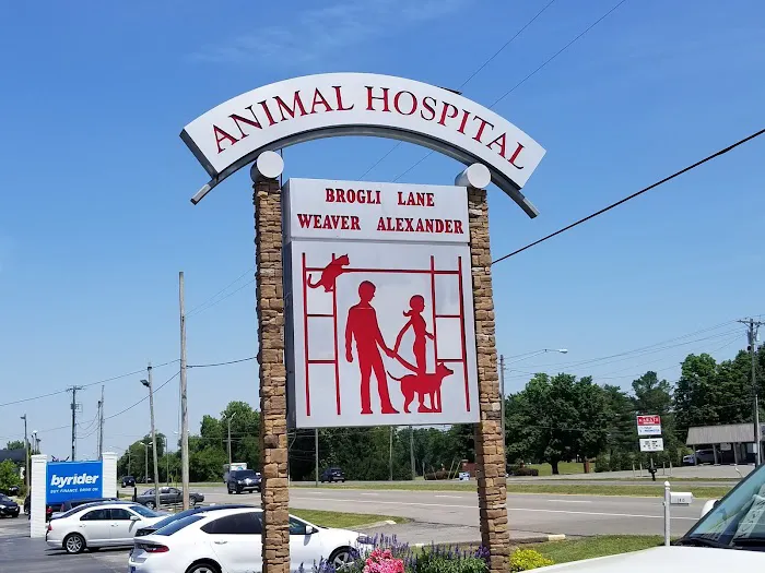 Brogli Lane Weaver & Alexander Animal Hospital Picture 2