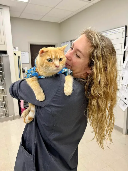 CreekWood Veterinary Hospital Picture 4