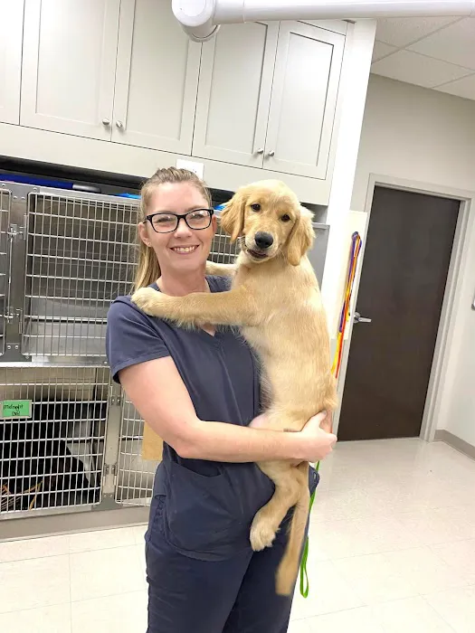 CreekWood Veterinary Hospital Picture 5