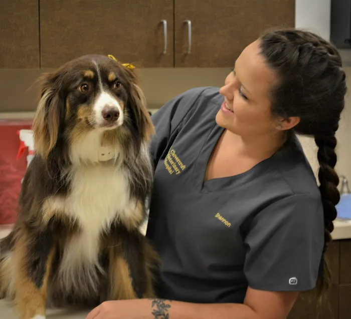 Clovercroft Veterinary Hospital Picture 1