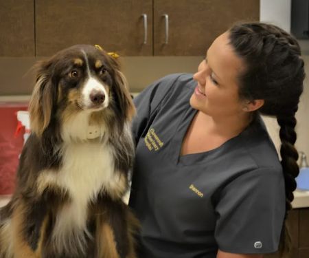 Clovercroft Veterinary Hospital