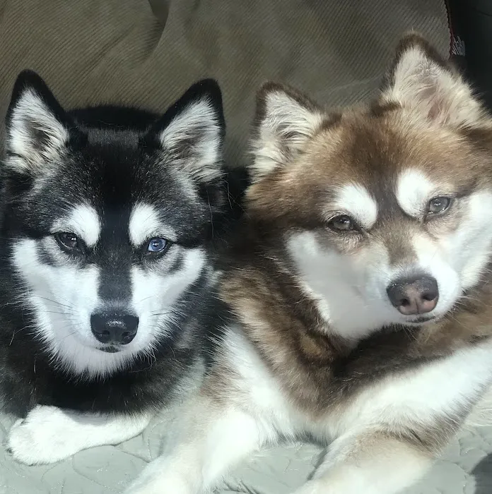 Clovercroft Veterinary Hospital Picture 5