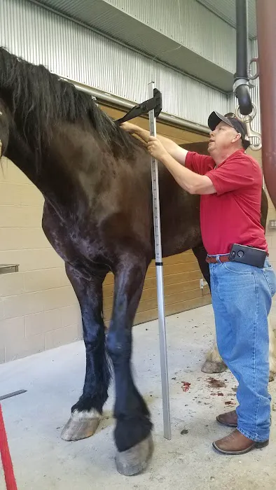 Franklin Equine Services LLC Picture 1