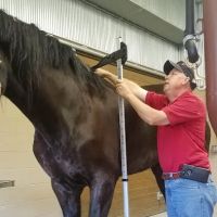 Franklin Equine Services LLC ico