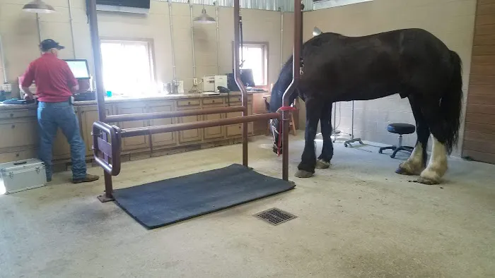Franklin Equine Services LLC Picture 6