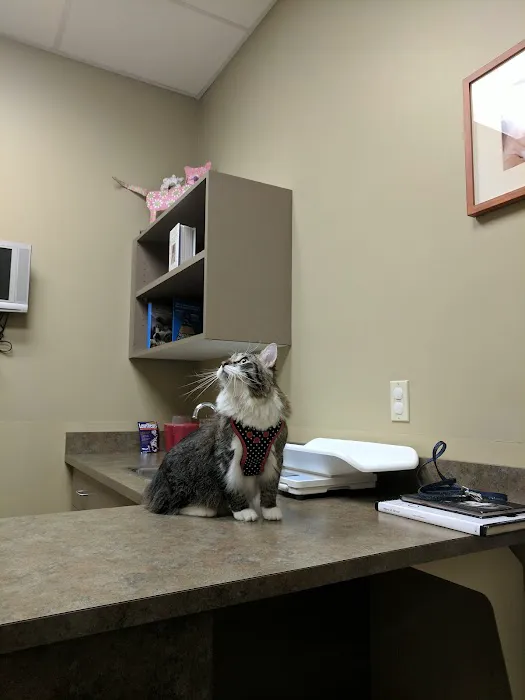Carothers Parkway Veterinary Clinic Picture 5