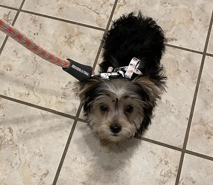 Banfield Pet Hospital Picture 5