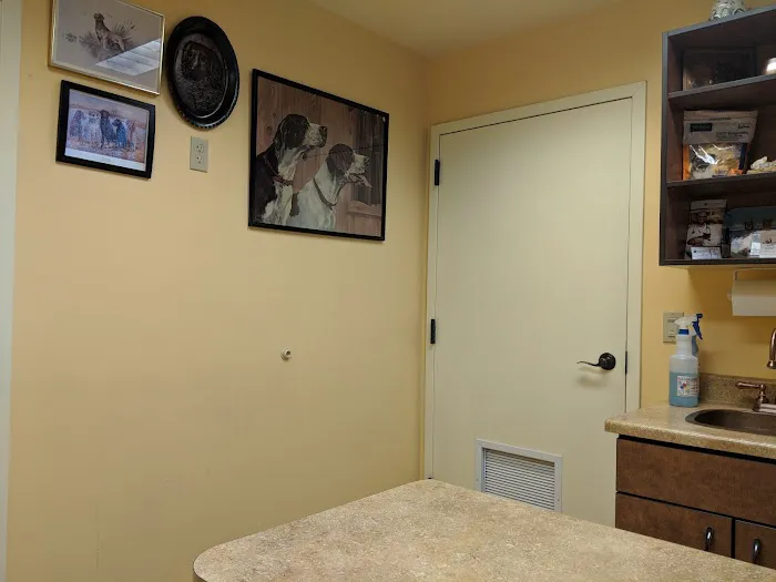North Kenilworth Veterinary Care Picture 1