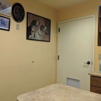 North Kenilworth Veterinary Care ico