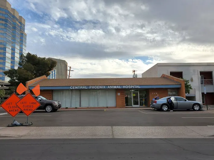 Central Phoenix Animal Hospital Picture 1