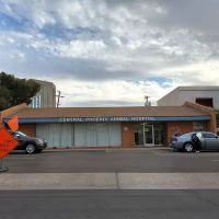 Central Phoenix Animal Hospital ico