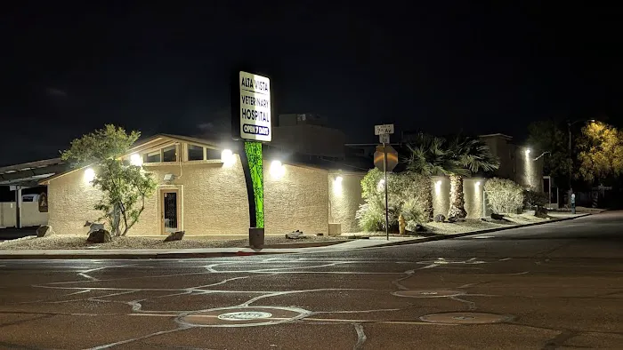 Alta Vista Veterinary Hospital Picture 2