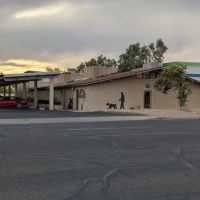 Alta Vista Veterinary Hospital ico
