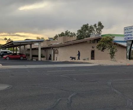 Alta Vista Veterinary Hospital