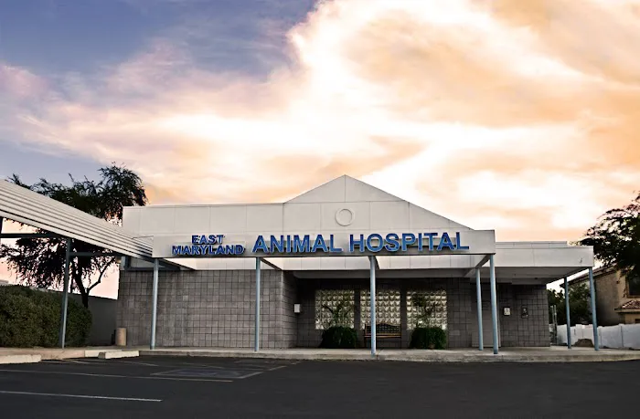 East Maryland Animal Hospital Picture 3