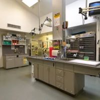 East Maryland Animal Hospital ico