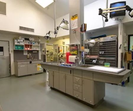 East Maryland Animal Hospital
