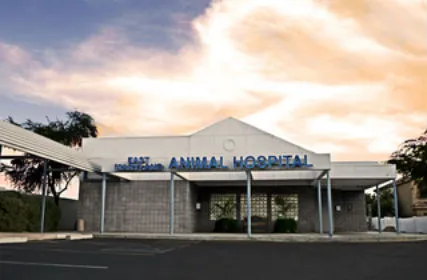 East Maryland Animal Hospital Picture 6