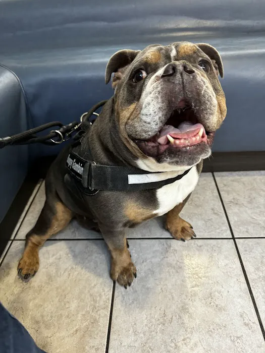 East Maryland Animal Hospital Picture 4