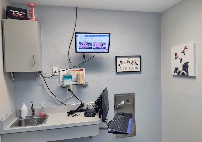 East Maryland Animal Hospital Picture 10