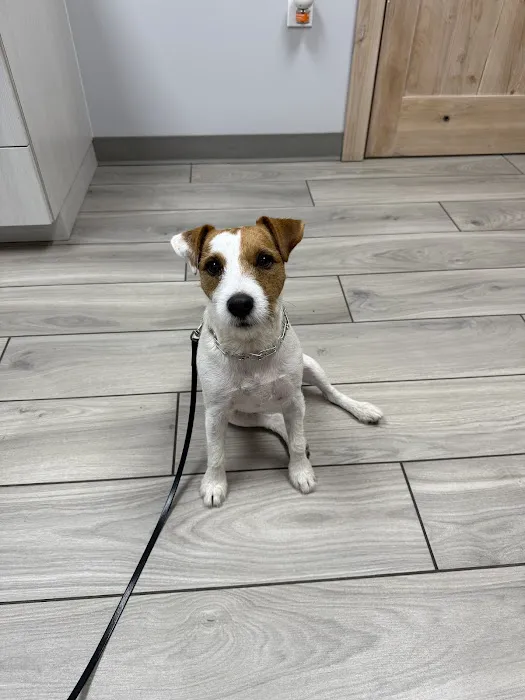 Laveen Veterinary Center Picture 1