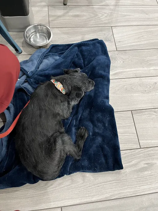 Laveen Veterinary Center Picture 9