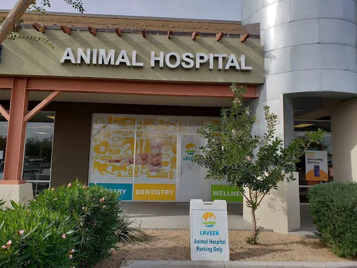 Animal Hospital of Laveen Picture 5