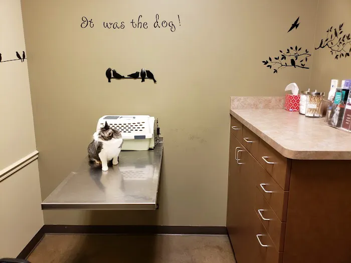 Animal Hospital of Laveen Picture 10