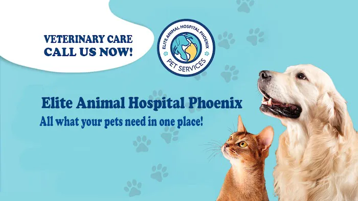 Elite Animal Hospital Phoenix Picture 1