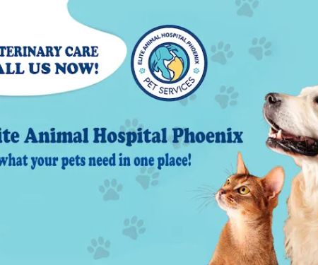 Elite Animal Hospital Phoenix