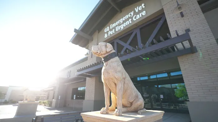 Gilbert Queen Creek Emergency Veterinarian & Pet Urgent Care Picture 5