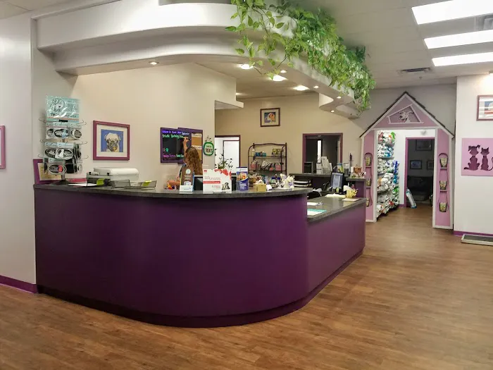 Animal House Veterinary Clinic Picture 4