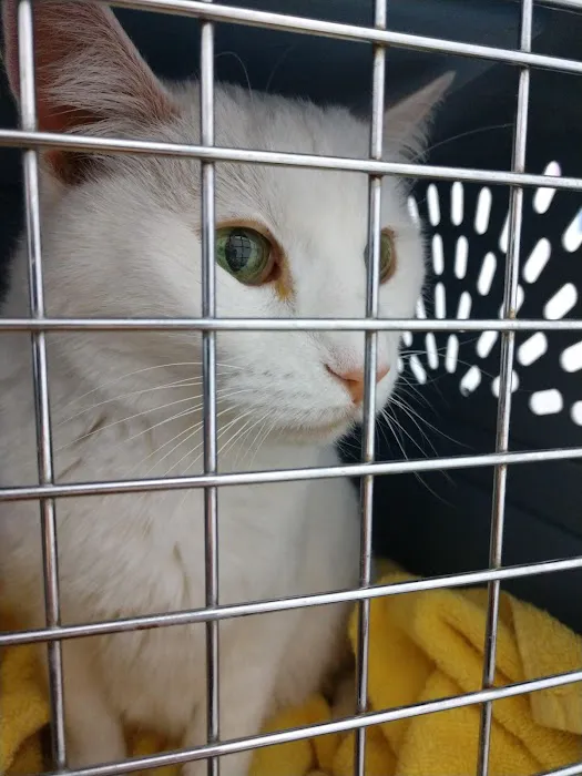 Animal House Veterinary Clinic Picture 9
