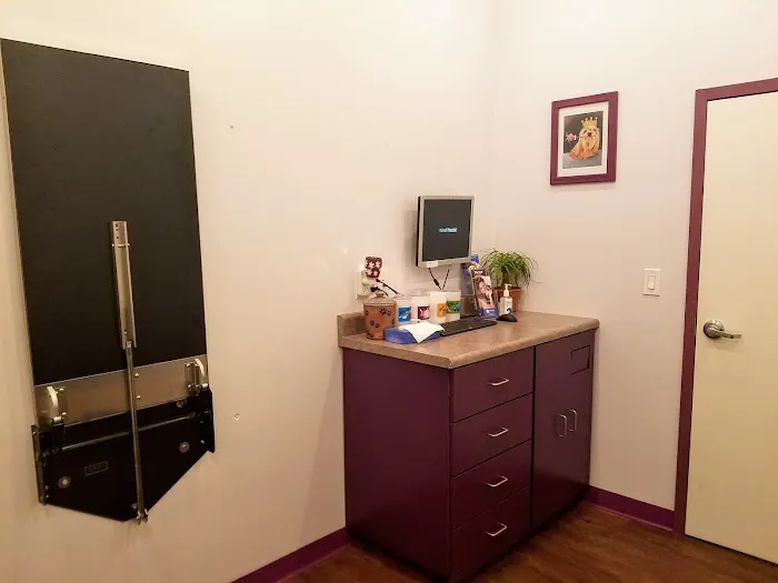Animal House Veterinary Clinic Picture 8