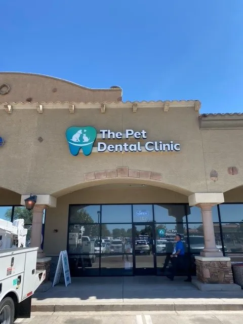The Pet Dental Clinic Picture 1