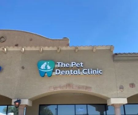 The Pet Dental Clinic