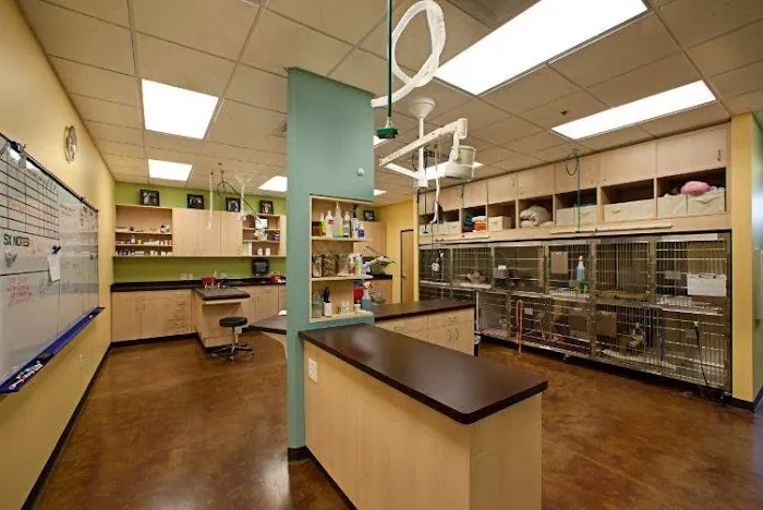 Seville Veterinary Hospital Picture 1