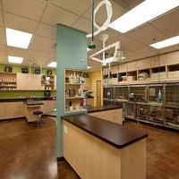 Seville Veterinary Hospital ico
