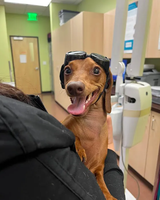 Seville Veterinary Hospital Picture 4