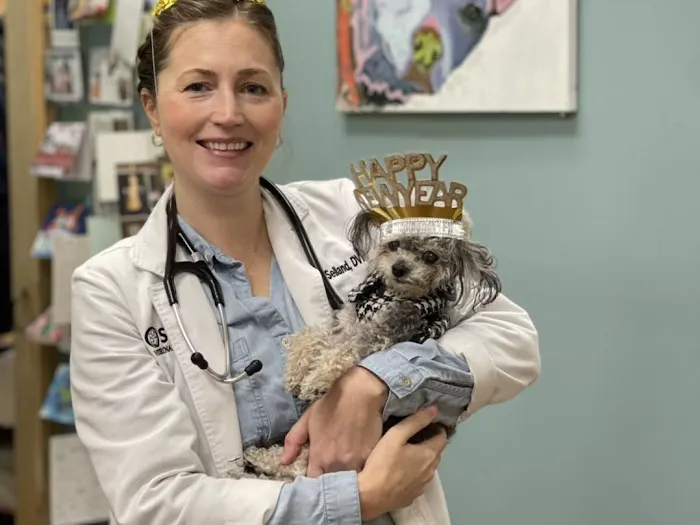Seville Veterinary Hospital Picture 6