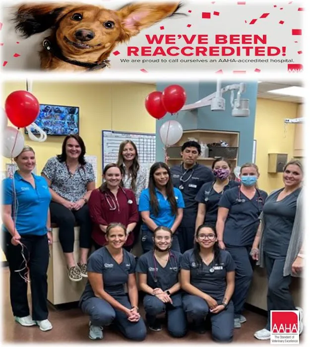 Seville Veterinary Hospital Picture 10
