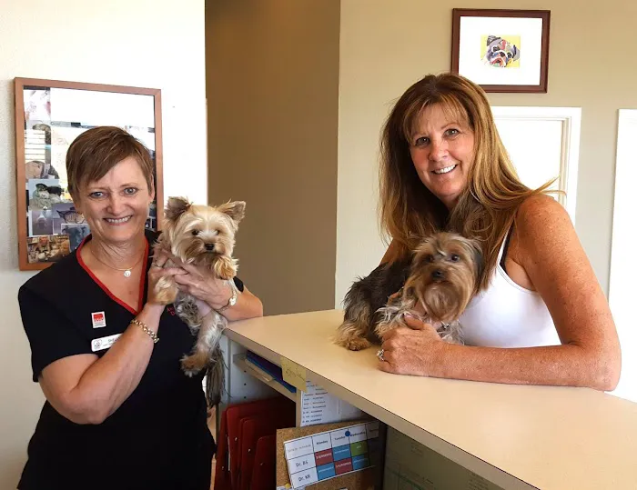 Animal Clinic Del Rancho Picture 2