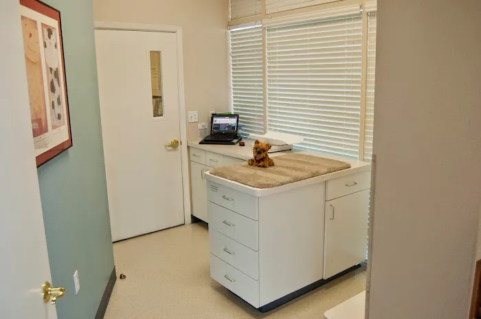 Animal Clinic Del Rancho Picture 1