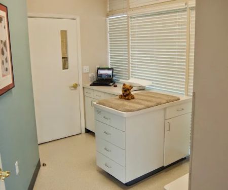 Animal Clinic Del Rancho